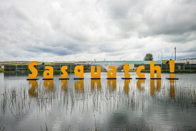 Sasquatch! 2013 / Foto: Matthew Lamb