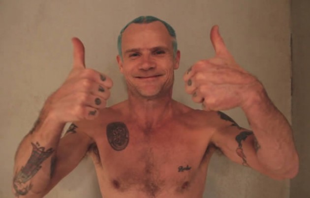 flea