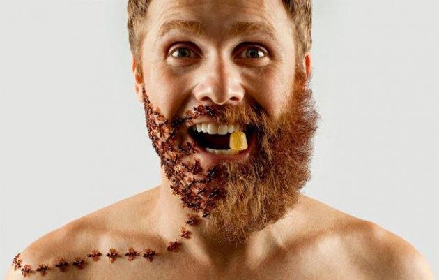 Guy-shaves-half-his-beard-then-glues-in-random-objects-to-make-it-whole-again5-650x414