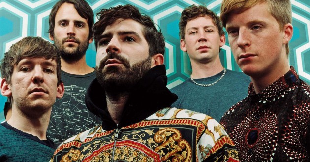 Foals