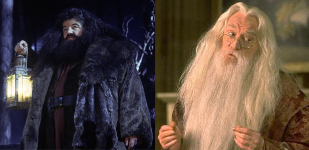 Hagrid-Dumbledore