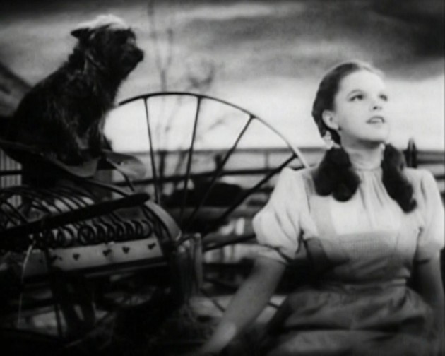 By Trailer screenshotLicencing information :http://www.creativeclearance.com/guidelines.html#D2 - The Wizard of Oz 1940 Cairo trailer available on the 2005 Three-Disc Collector's Edition DVD release, Public Domain, https://commons.wikimedia.org/w/index.php?curid=16514146