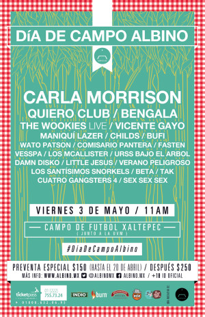 Cartel oficial del festival Día de Campo 2013 en Puebla