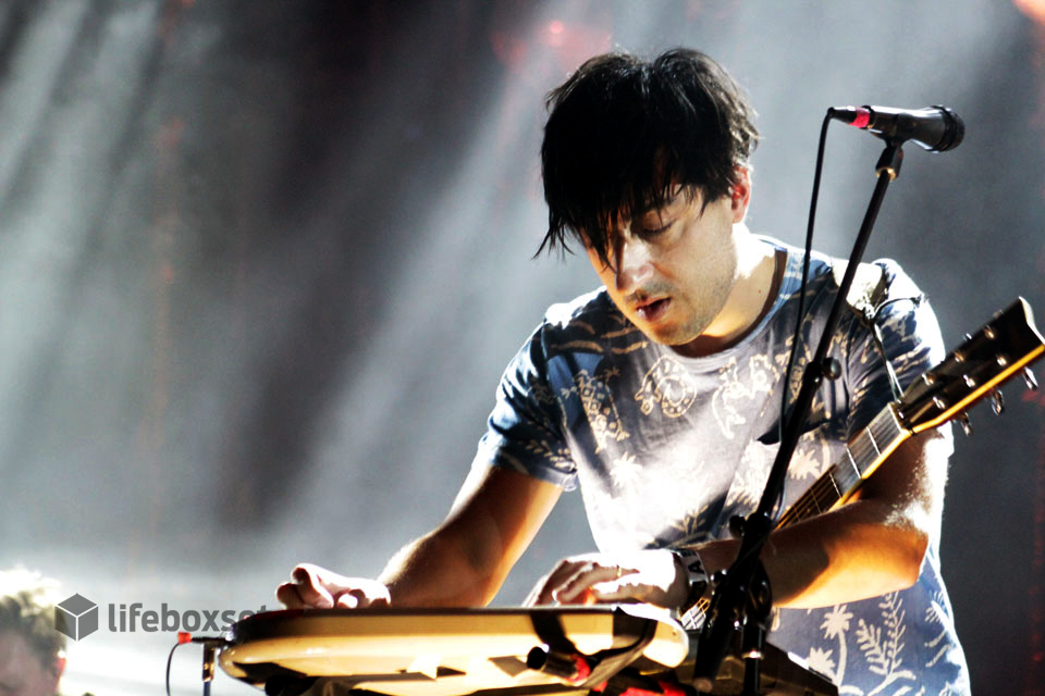 Grizzly Bear / Foto: Daniel Patlán