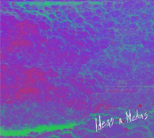 Escuchen ‘Ideas a Medias’, el álbum debut de Celofán