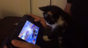 Mappy: el gatito que juega videojuegos mejor que tú