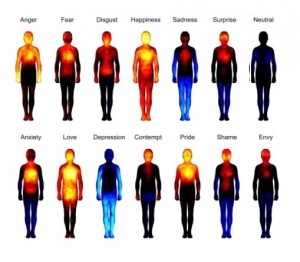 Este estudio muestra en qué parte de tu cuerpo se activan las emociones