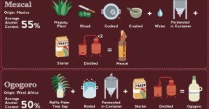¿De qué están hechas todas las bebidas del mundo?