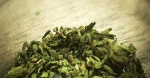 Un miembro de Cypress Hill quiere abrir la mejor tienda de marihuana legal del mundo