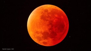 Mira completamente en vivo las imágenes de la ‘Luna Roja’ directamente desde el observatorio de la NASA