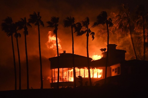 Netflix cancela alfombras rojas de ‘Narcos México’ y ‘Bird Box’ por respeto a las víctimas de los incendios de California