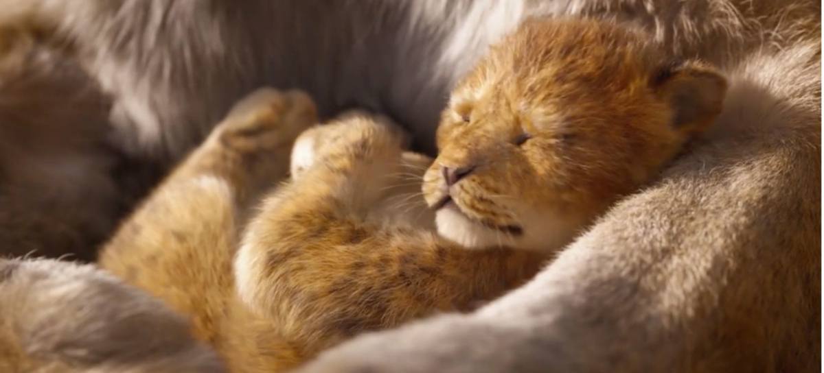 Mira el tierno trailer que Disney liberó de ‘El Rey León’