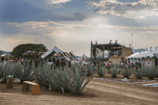 #Liveboxset te lleva a Festival Akamba 2019