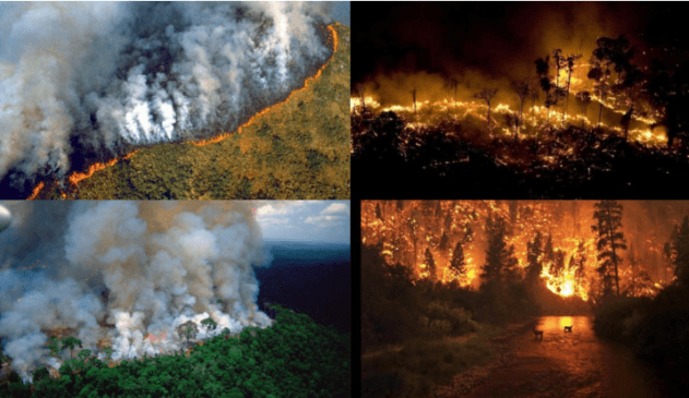 El Amazonas en Brasil continúa ardiendo, Bolsonaro insinúa que es una táctica en contra de su gobierno