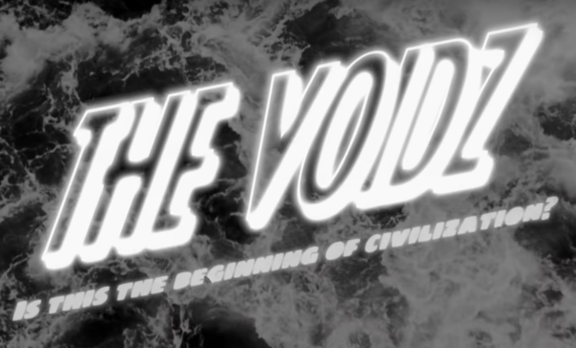 The Voidz nos presenta otro track producido por Mac DeMarco en este nuevo video.