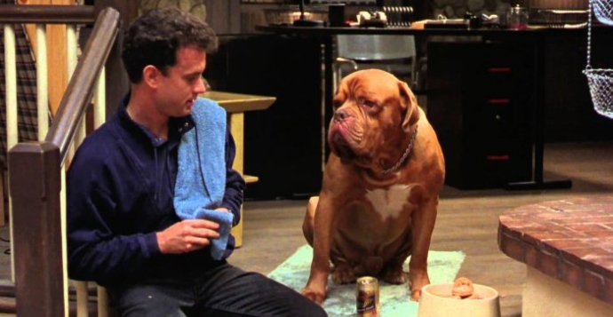 ‘Turner & Hooch’ podría ser el último remake de Disney+