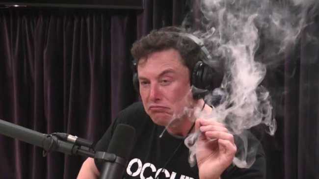 La siguiente misión de Elon Musk: Llevar cannabis al espacio