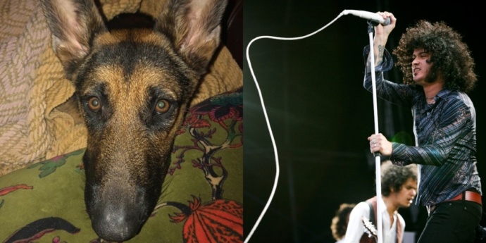 Cedric Bixler-Zavala acusa a cienciólogos de haber envenenado y matado a su perrito