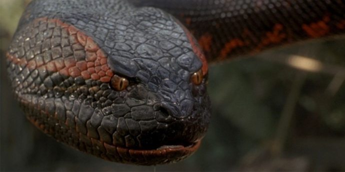 El clásico de terror ‘Anaconda’ tendrá un nuevo remake a 20 años de su debut en cines