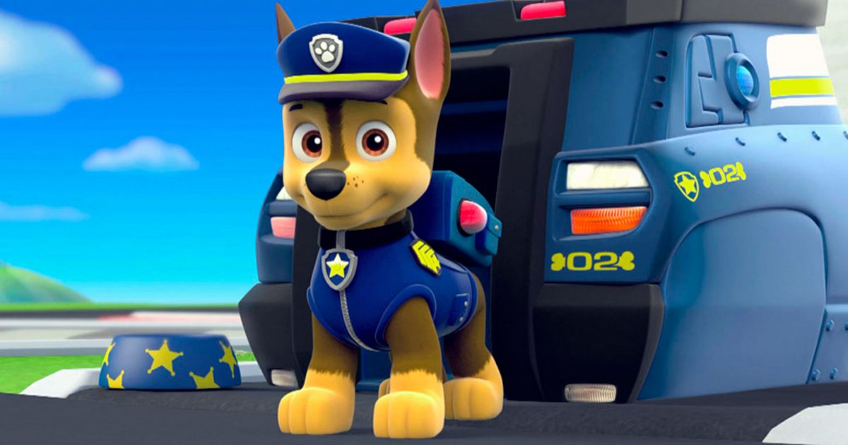 paw patrol rubble