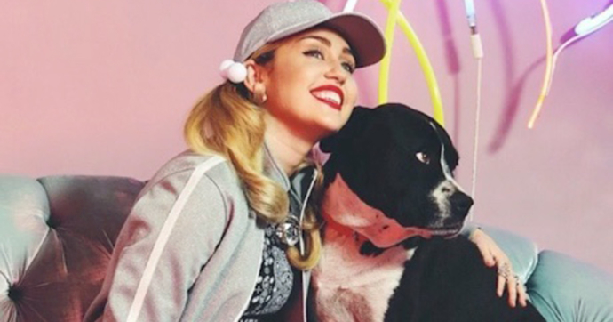 Miley Cyrus estrena canción dedicada a su difunta perrita: “Mary Jane 5EVER”