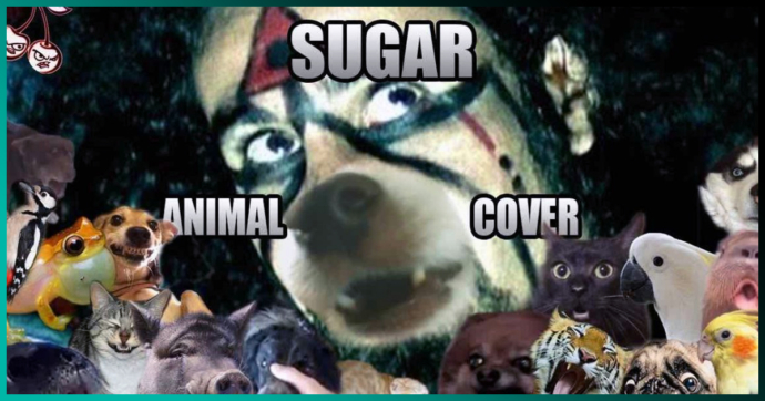 Escucha el clásico “Sugar” de System of a Down, pero cantado por animalitos