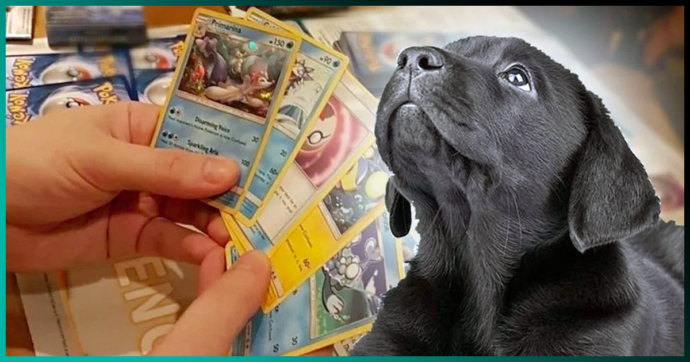 Pokémon envía tarjetas exclusivas a un niño que vendió su colección para salvar a su perro