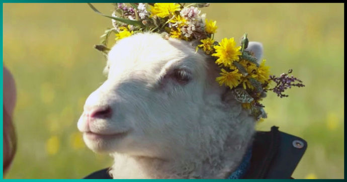 Trailer de ‘Lamb’: La nueva y perturbadora película del estudio de ‘Hereditary’ y ‘Midsommar’