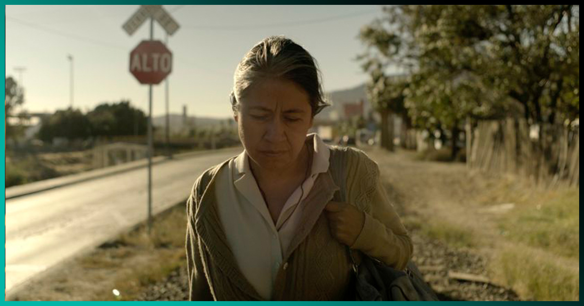 Todas las nominadas a Mejor Película en los Premios Ariel 2021 y dónde verlas