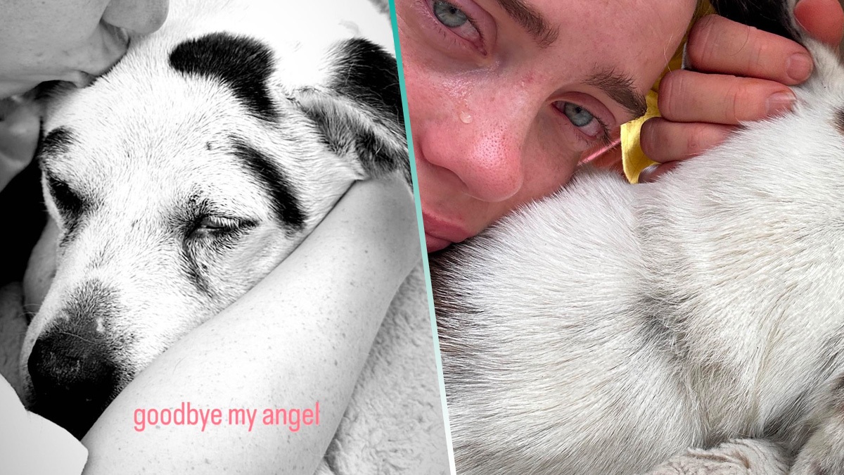 Se murió el perrito de Billie Eilish y ella le rinde un emotivo tributo en redes sociales