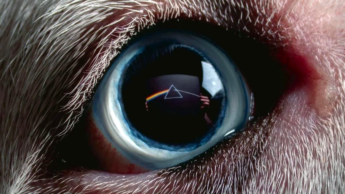 Llegó el día: Roger Waters lanza la nueva versión del ‘Dark Side of the Moon’